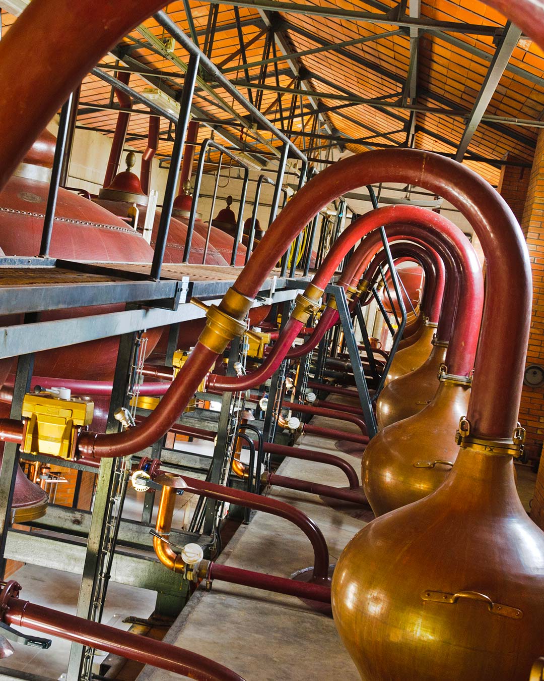 Visit to distellerie Braastad at jarnac